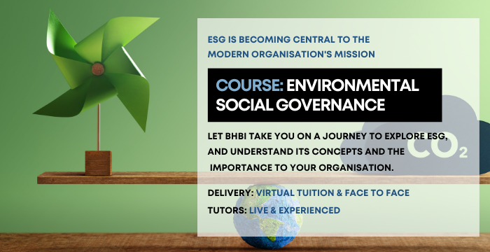 environmental social governance