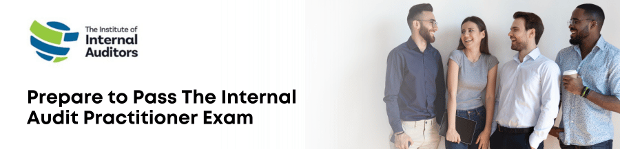 internal audit practitioner