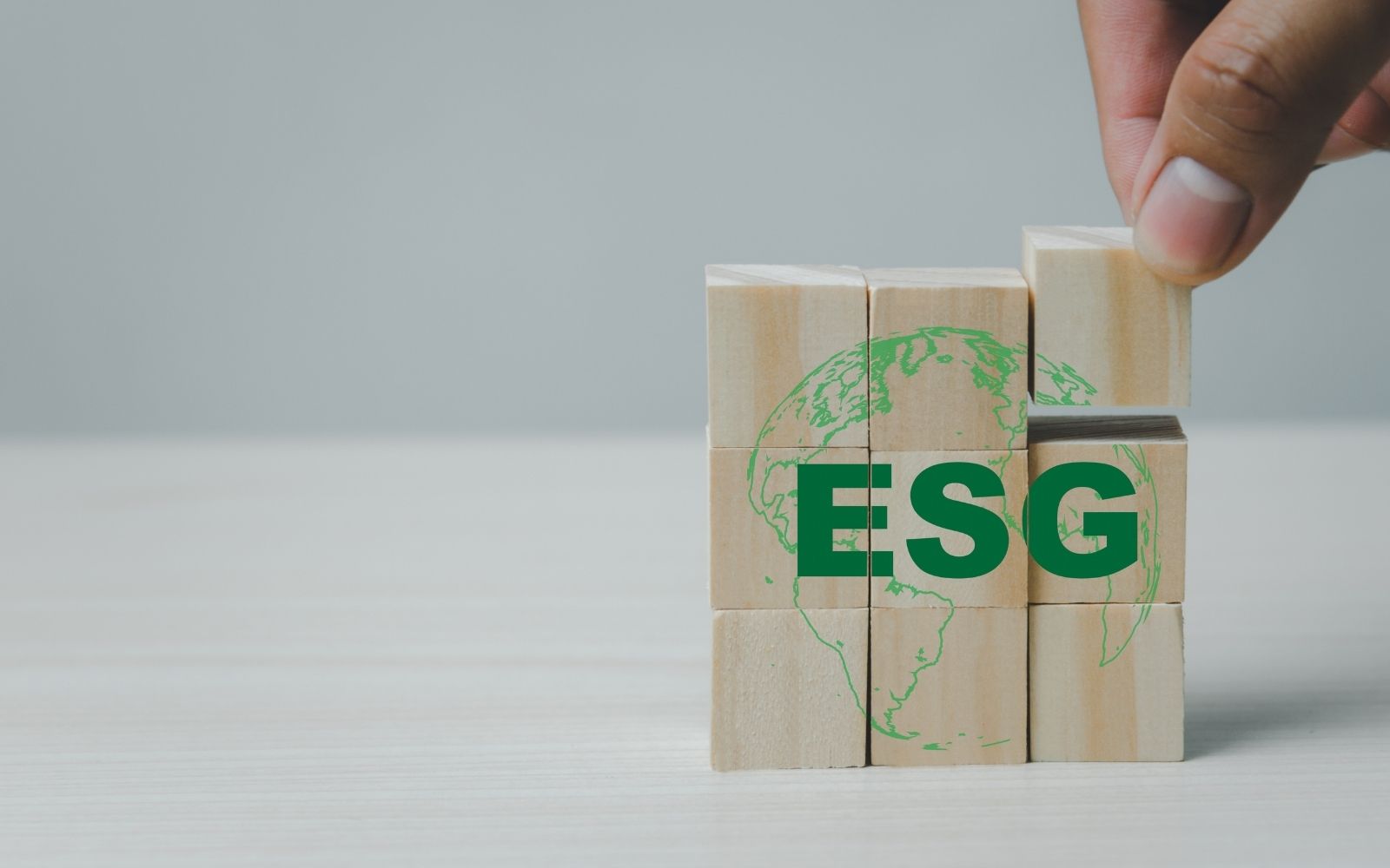 Environmental Social Governance