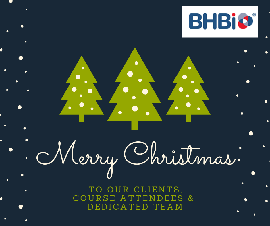 Merry Christmas To Our Clients, Course Attendees and Dedicated Team
