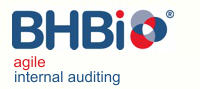 Agile Internal Auditing